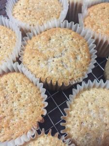 13516410_505682656305434_3295211559007071609_n