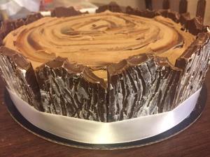 15085701_574316222775410_4655919799120926257_n